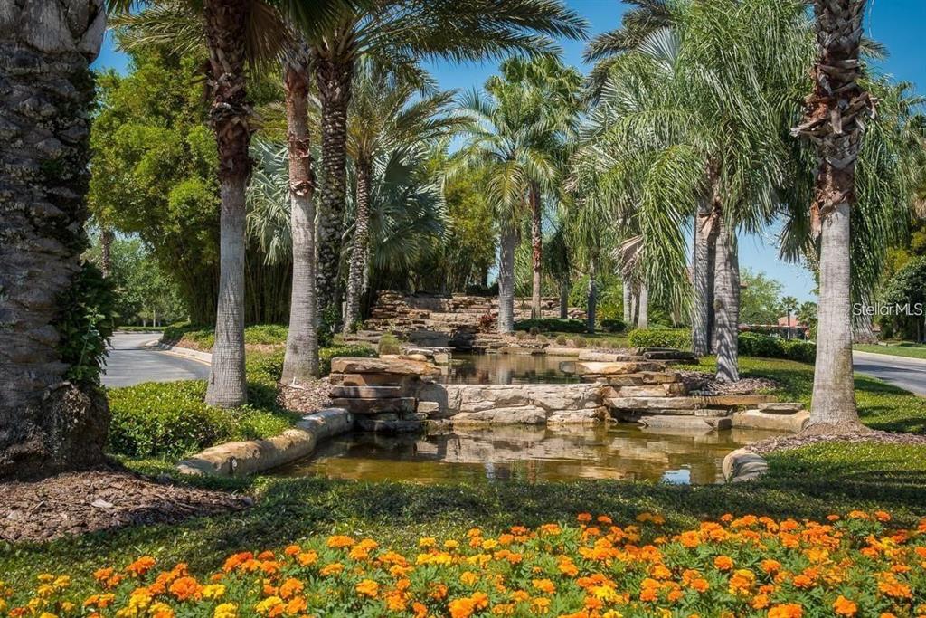 140 Shell Falls Drive Apollo Beach, FL 33572 - Photo 12 of 20 a view of swimming pool with a patio