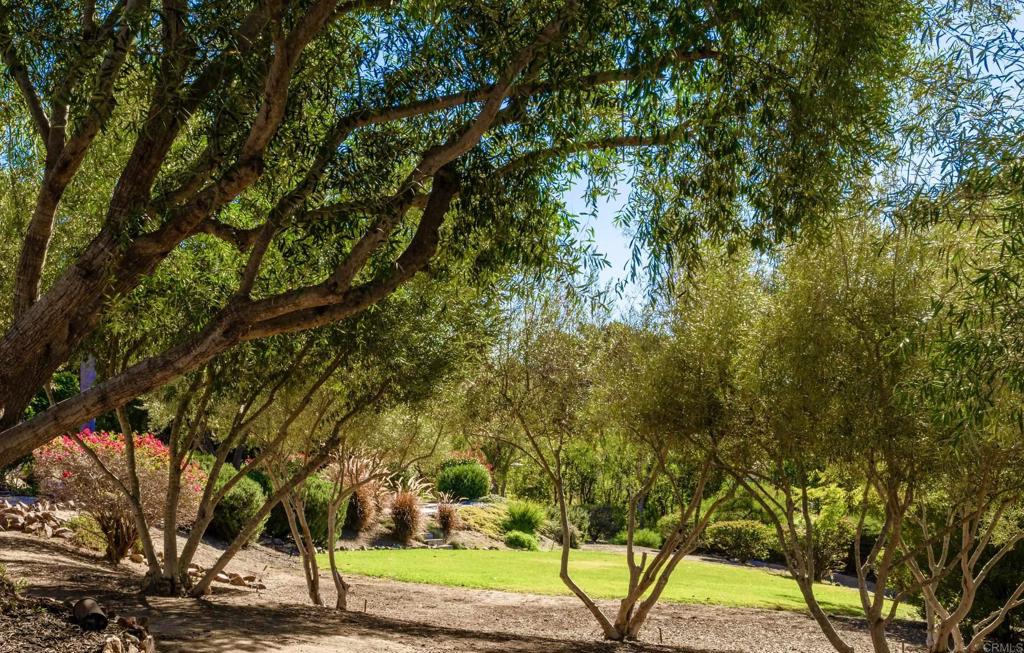 17543 Via Del Bravo Rancho Santa Fe, CA 92067 - Photo 24 of 41 a view of a yard with plants and trees