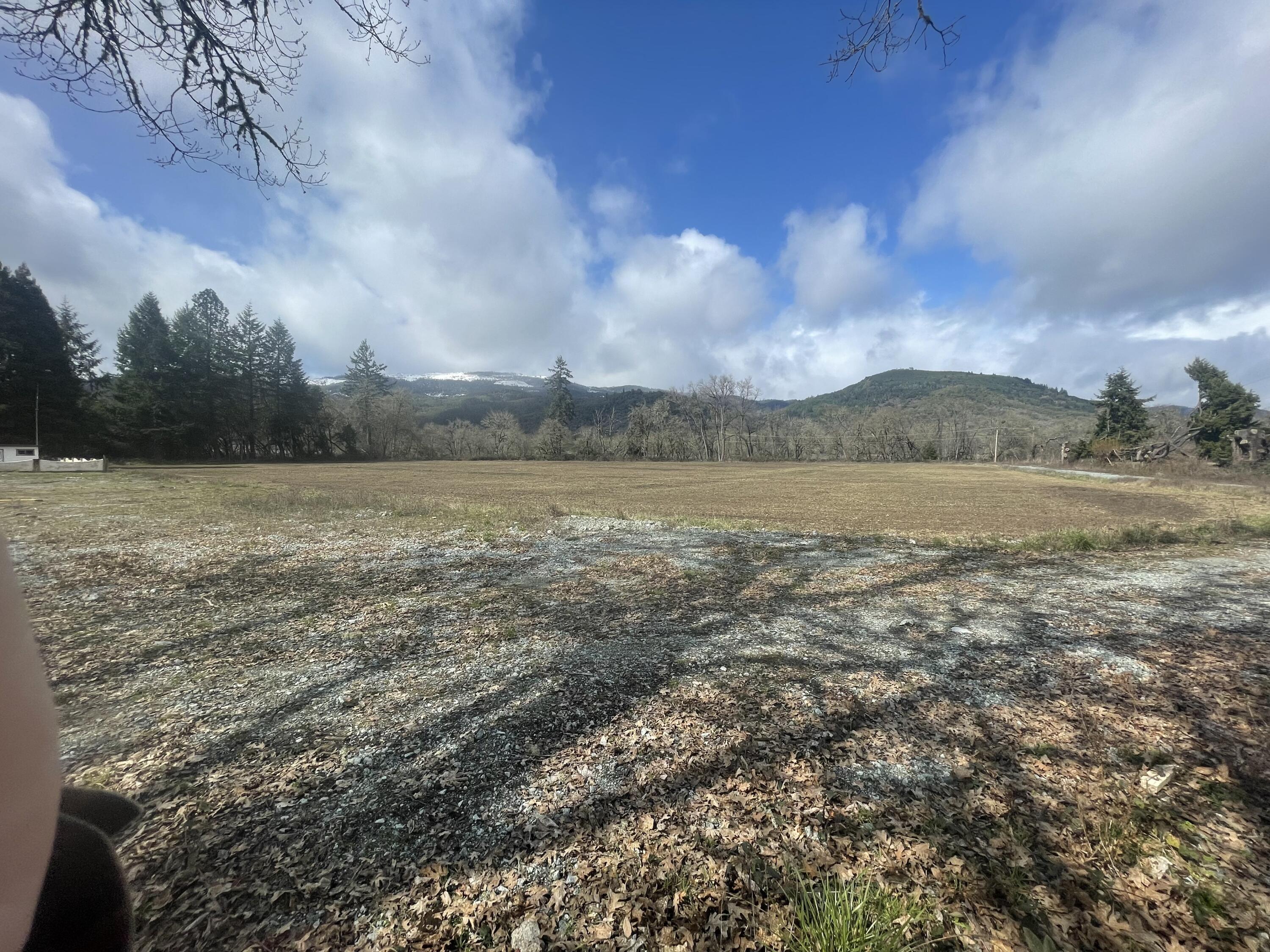 2305 Glenbrook Loop Road Riddle, OR 97469 - Photo 36 of 38 IMG_2718