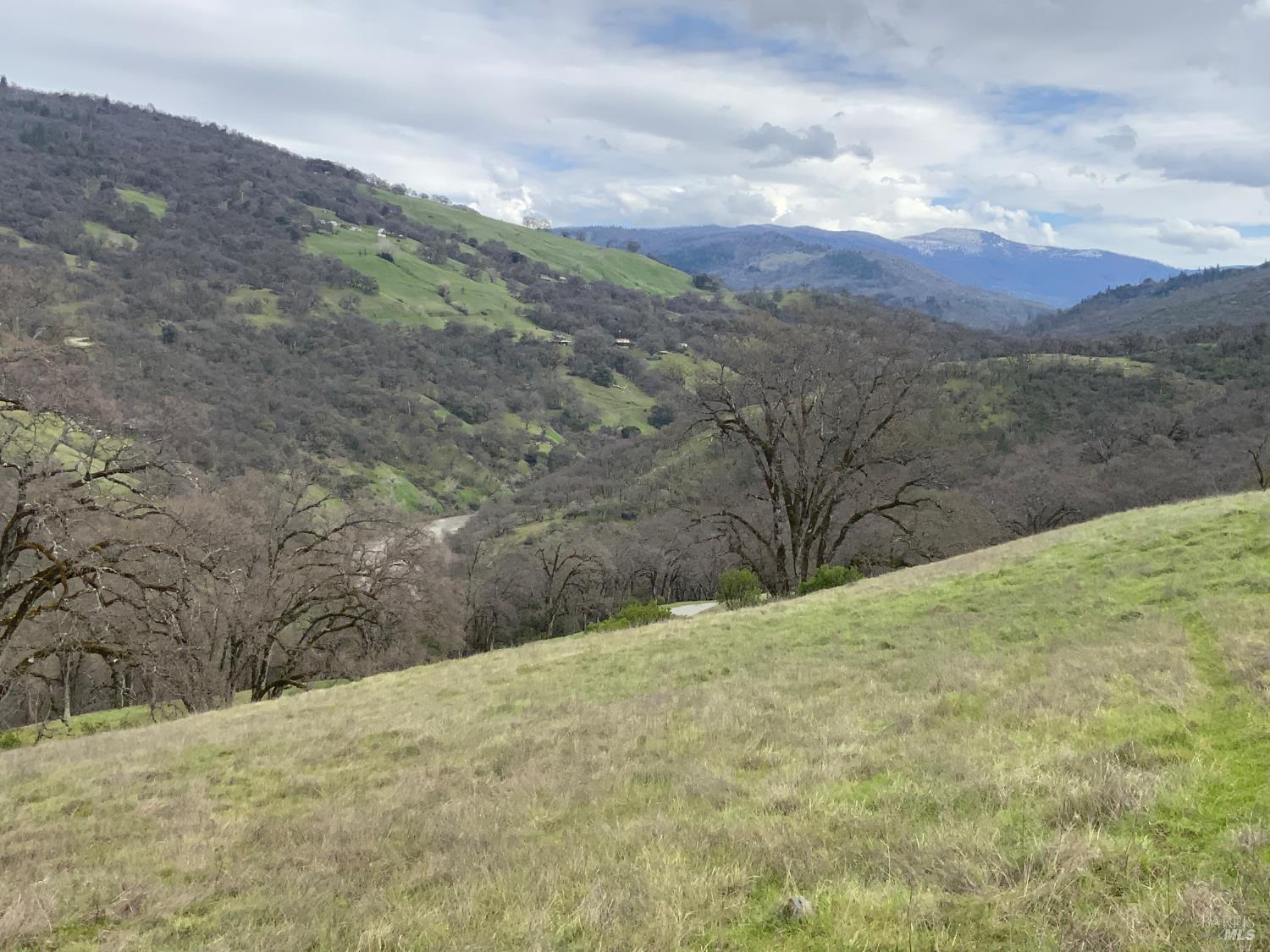 a view of a dry yard with mountains in the background