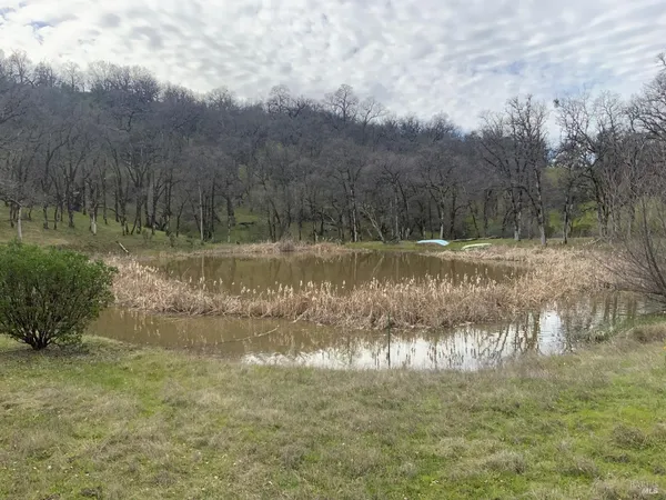 a view of a lake with a yard