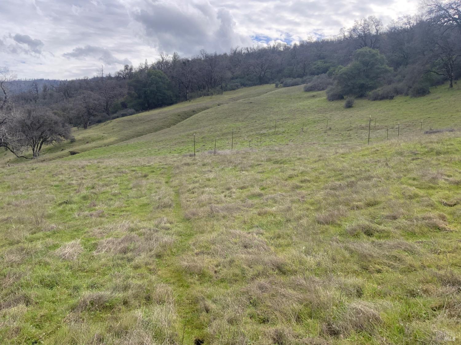 78500 Mexico Ridge Road Covelo, CA 95428 - Photo 2 of 17 a view of a dry yard with plants