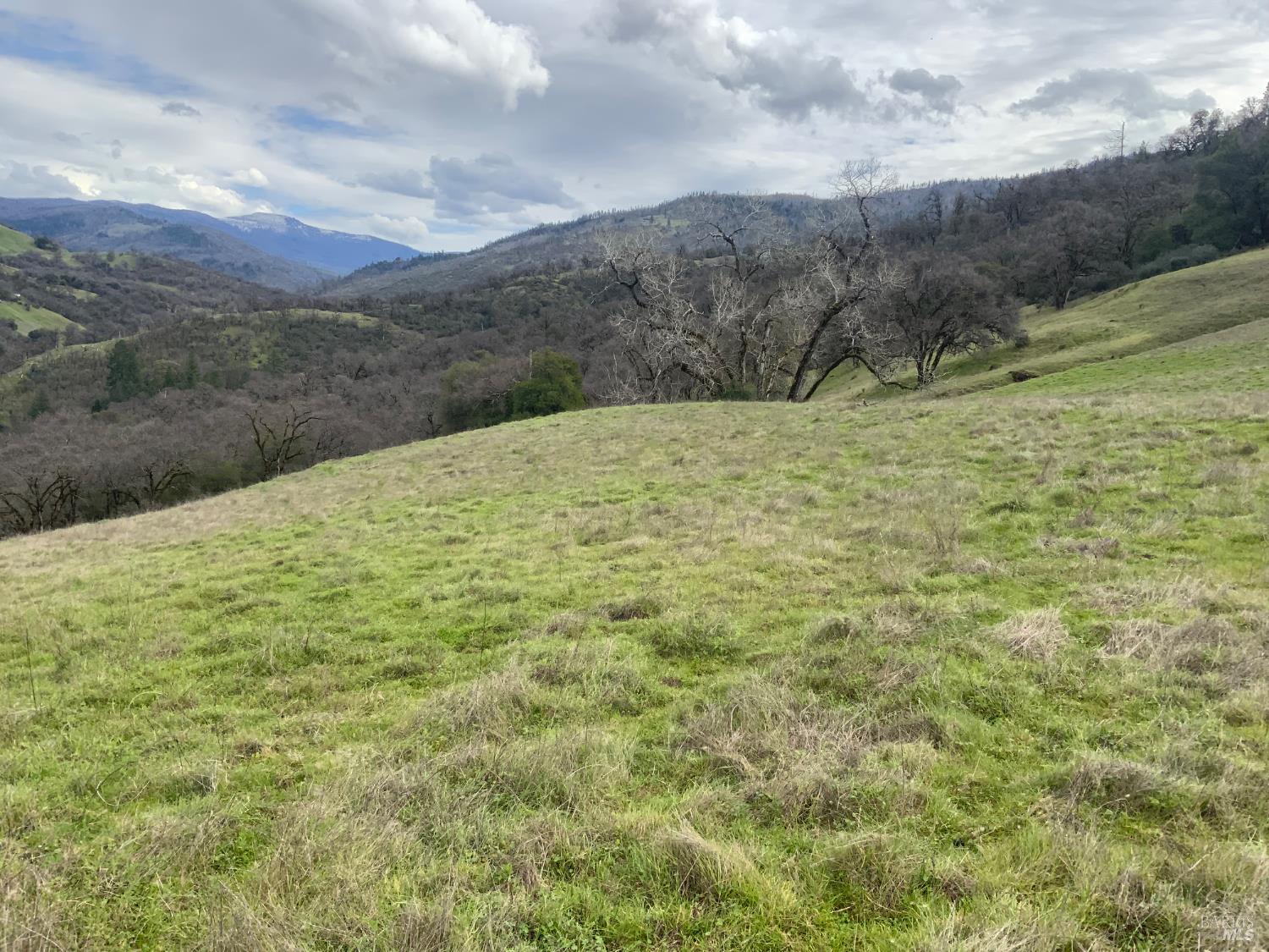 78500 Mexico Ridge Road Covelo, CA 95428 - Photo 3 of 17 a big yard with lots of green space
