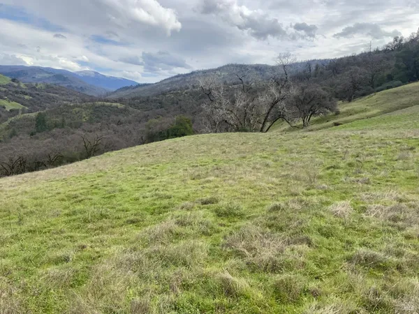 a big yard with lots of green space