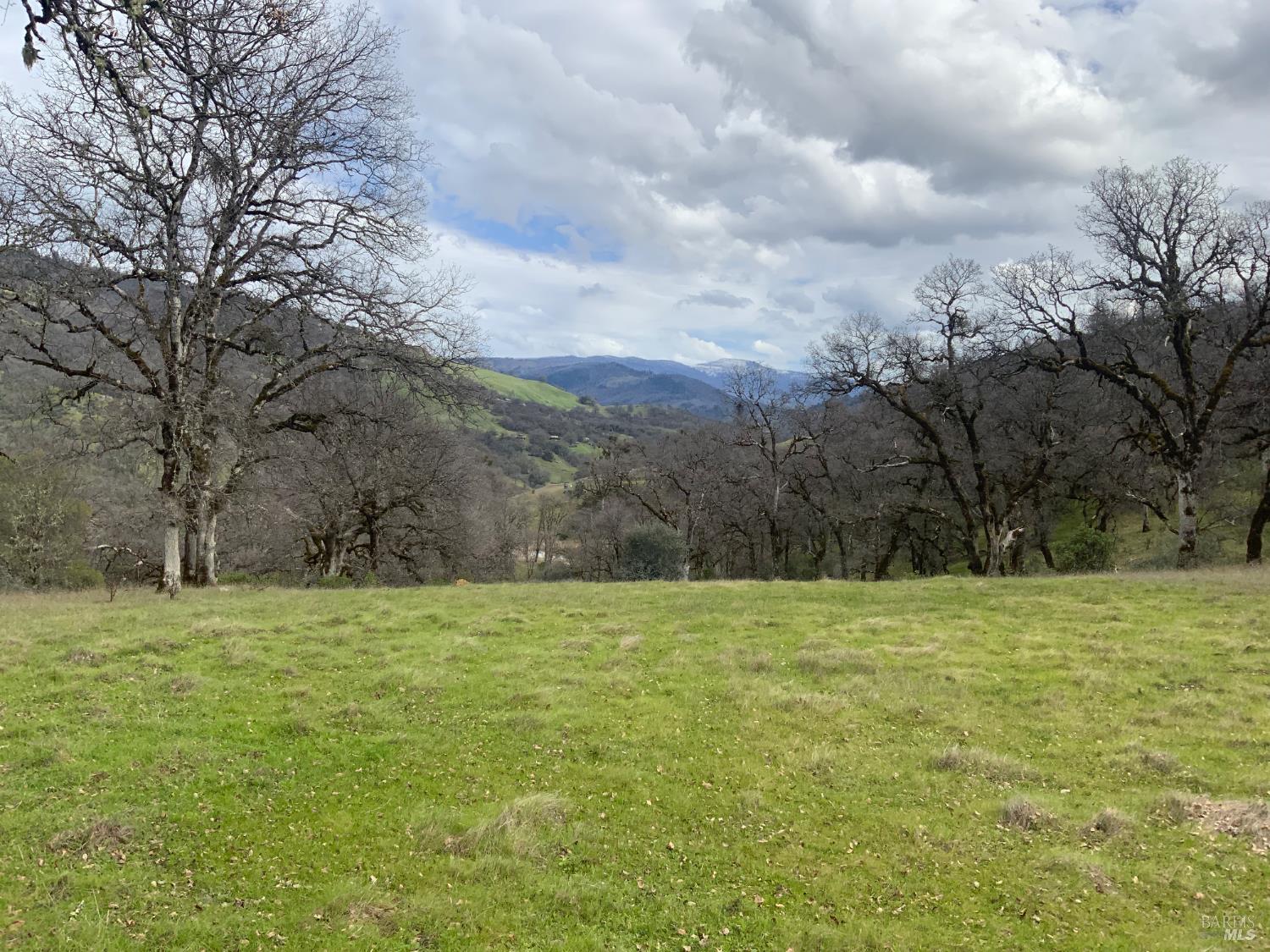 78500 Mexico Ridge Road Covelo, CA 95428 - Photo 5 of 17 a view of field with trees in the background