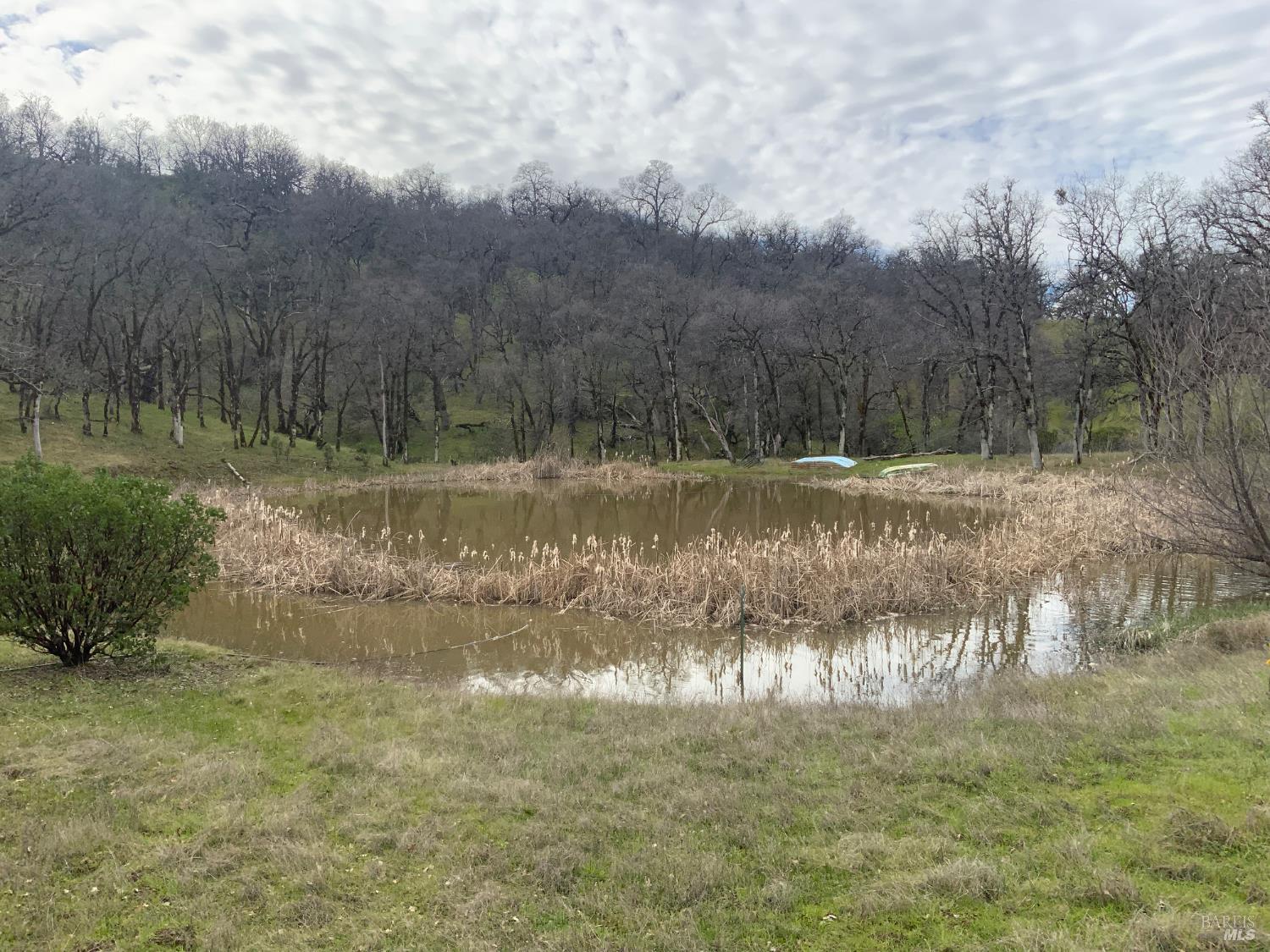 78500 Mexico Ridge Road Covelo, CA 95428 - Photo 7 of 17 a view of a lake with a yard