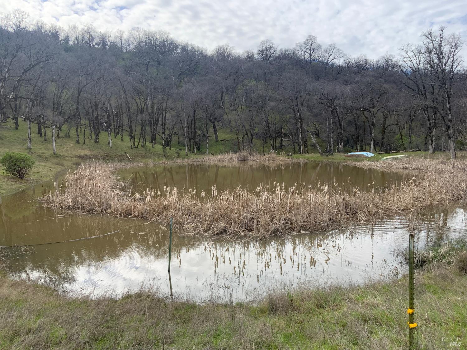 78500 Mexico Ridge Road Covelo, CA 95428 - Photo 8 of 17 a view of a lake from a yard