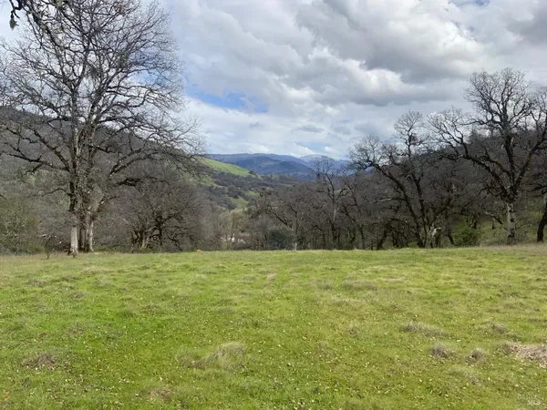a view of field with trees in the background