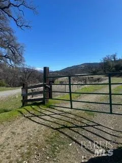 a view of a yard with wooden fence