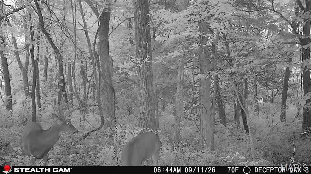 0 Russell Road Troy, MO 63379 - Photo 15 of 15 Gallery Image 15