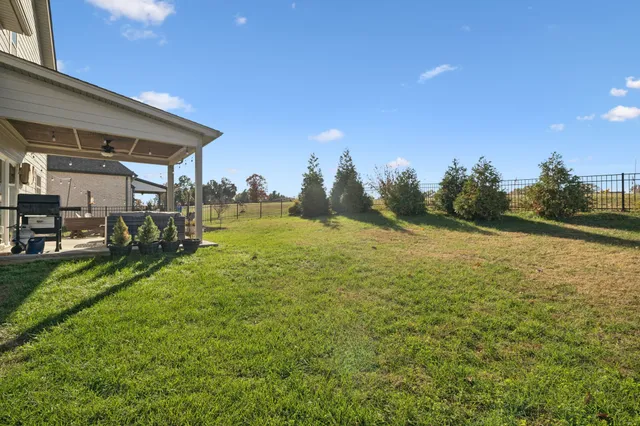 a view of outdoor space and yard