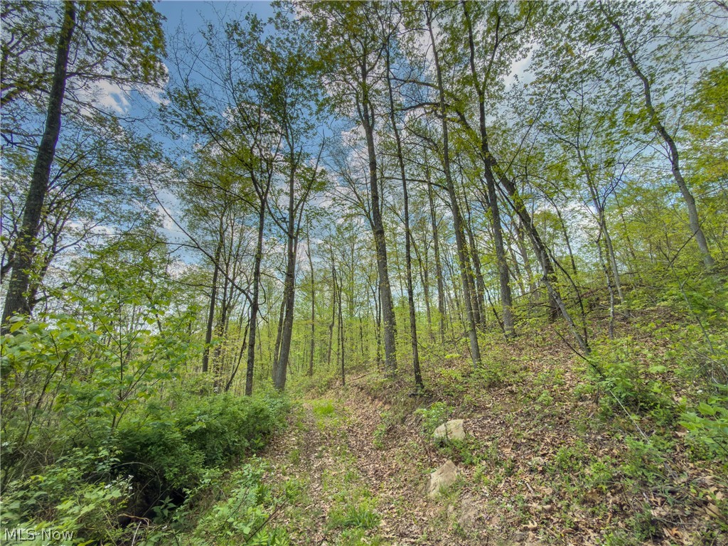 Beardmore Road Wingett Run, OH 45789 - Photo 22 of 43