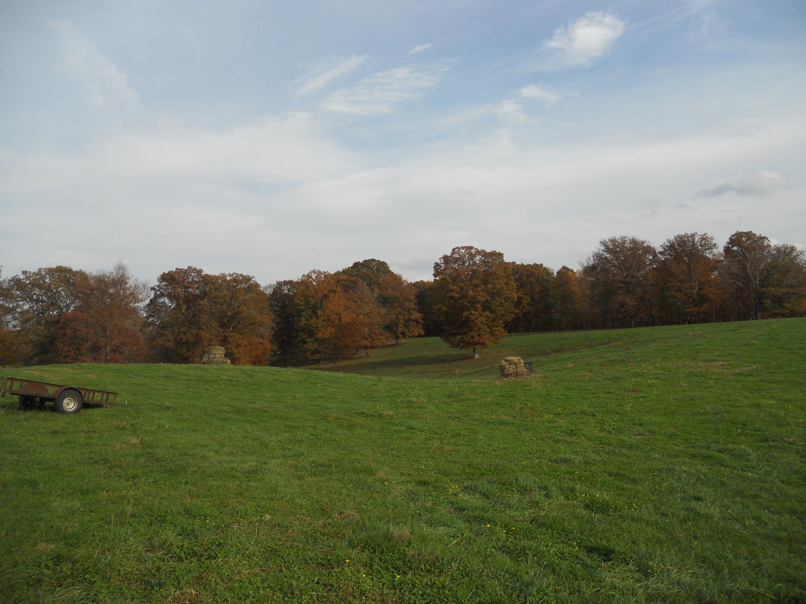 700 East Rock Quarry Road Clarkrange, TN 38553 - Photo 1 of 16 003