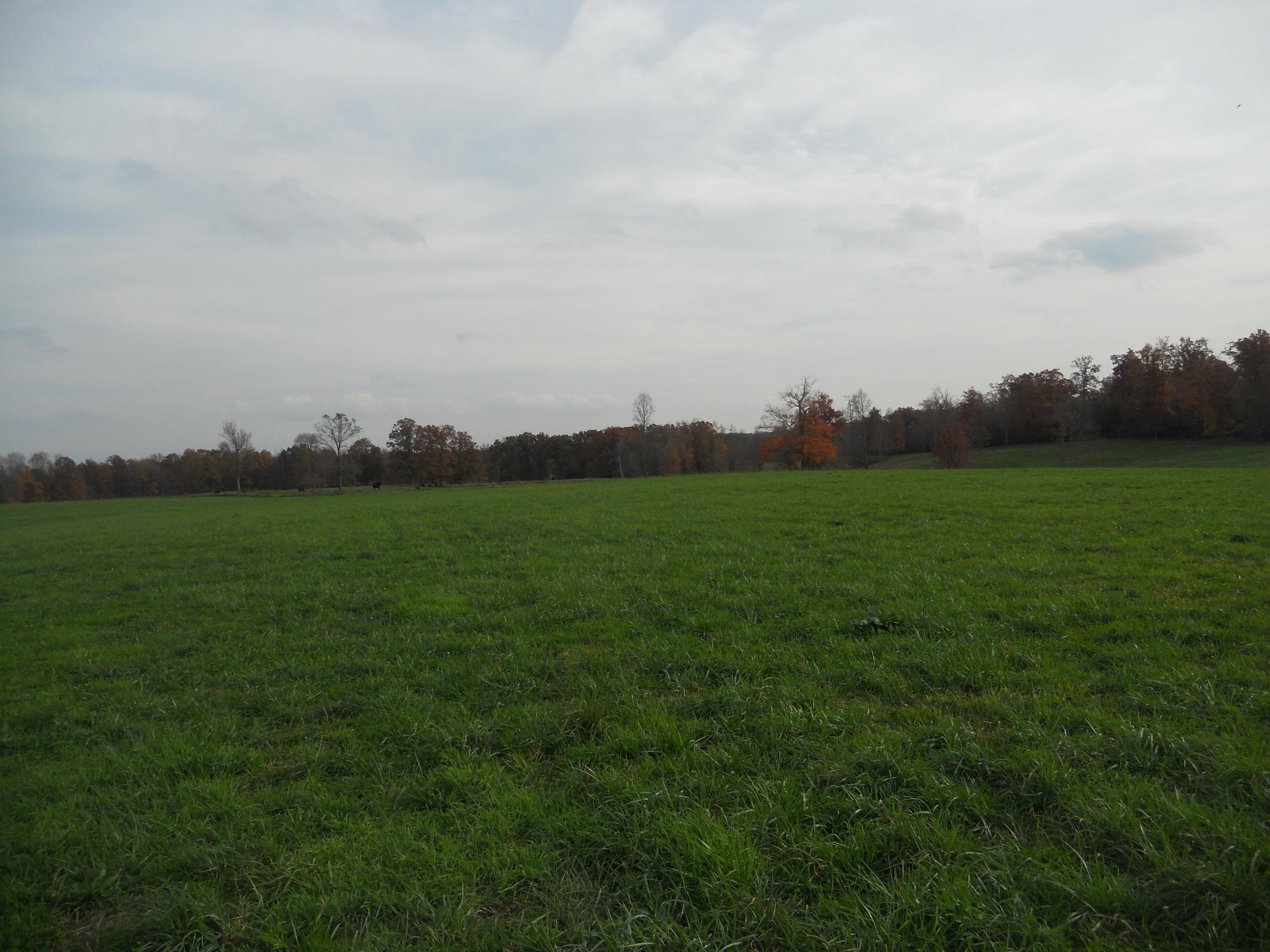 700 East Rock Quarry Road Clarkrange, TN 38553 - Photo 11 of 16 011