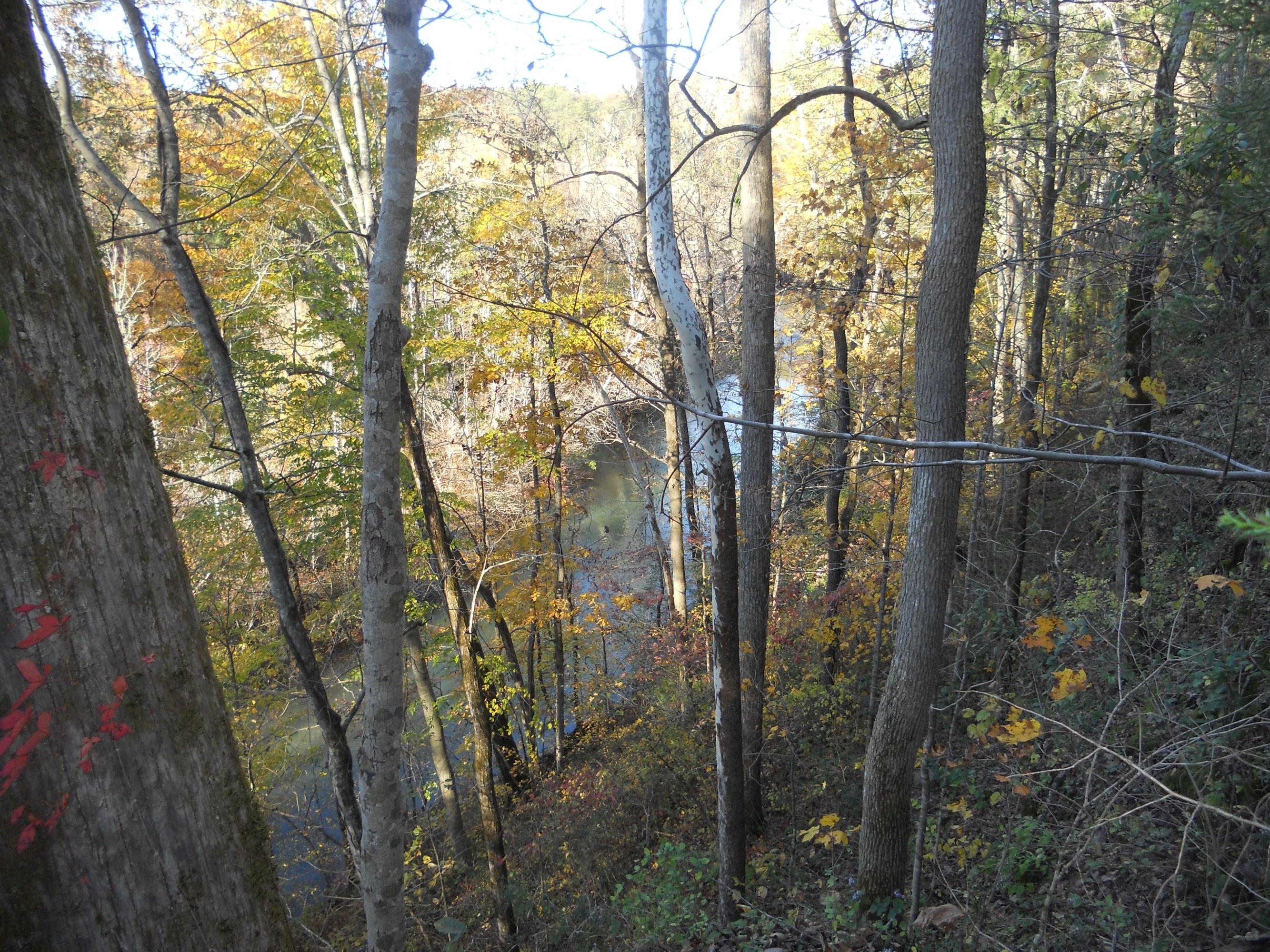 700 East Rock Quarry Road Clarkrange, TN 38553 - Photo 15 of 16 015