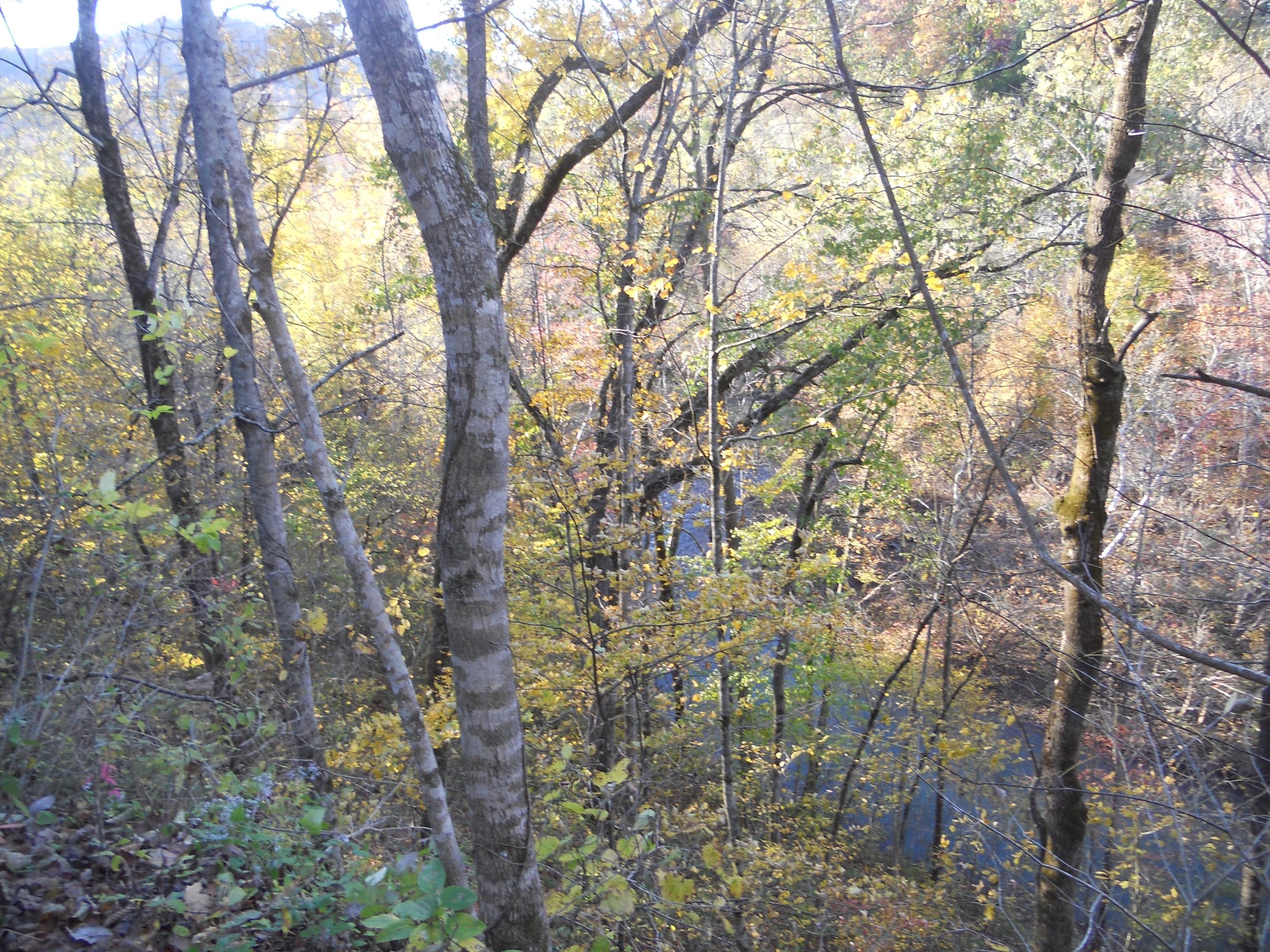700 East Rock Quarry Road Clarkrange, TN 38553 - Photo 16 of 16 016