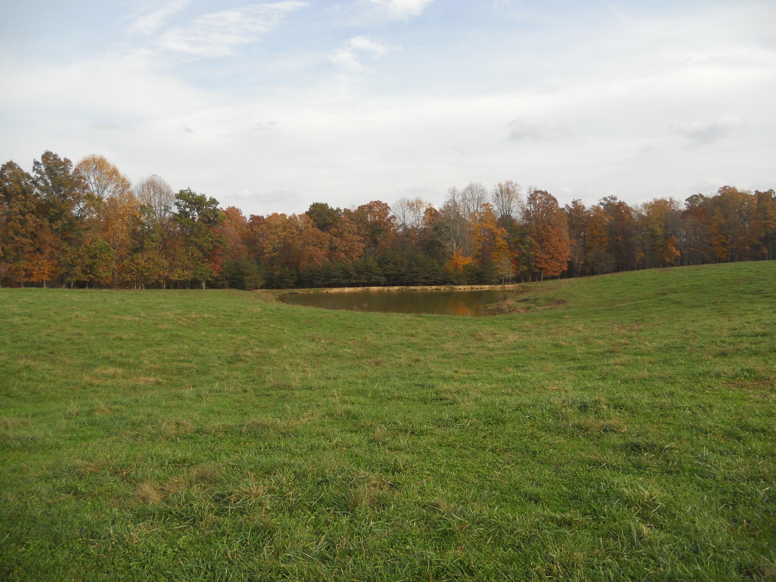 700 East Rock Quarry Road Clarkrange, TN 38553 - Photo 5 of 16 005
