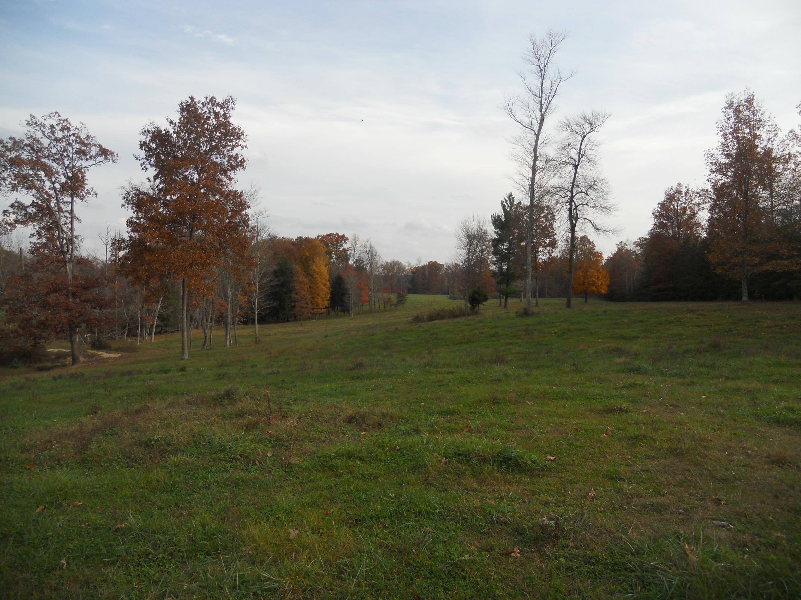 700 East Rock Quarry Road Clarkrange, TN 38553 - Photo 6 of 16 006