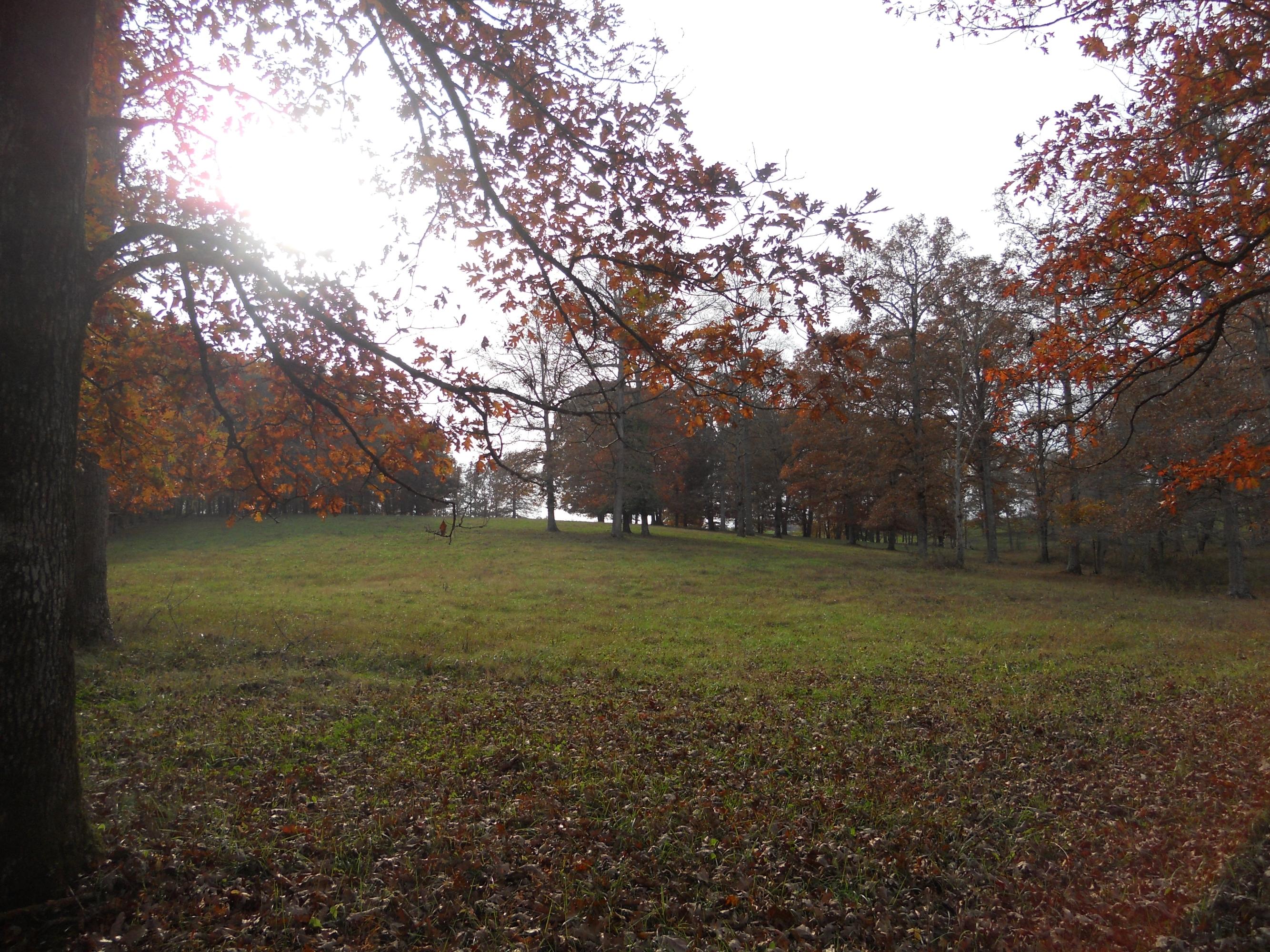 700 East Rock Quarry Road Clarkrange, TN 38553 - Photo 9 of 16 009
