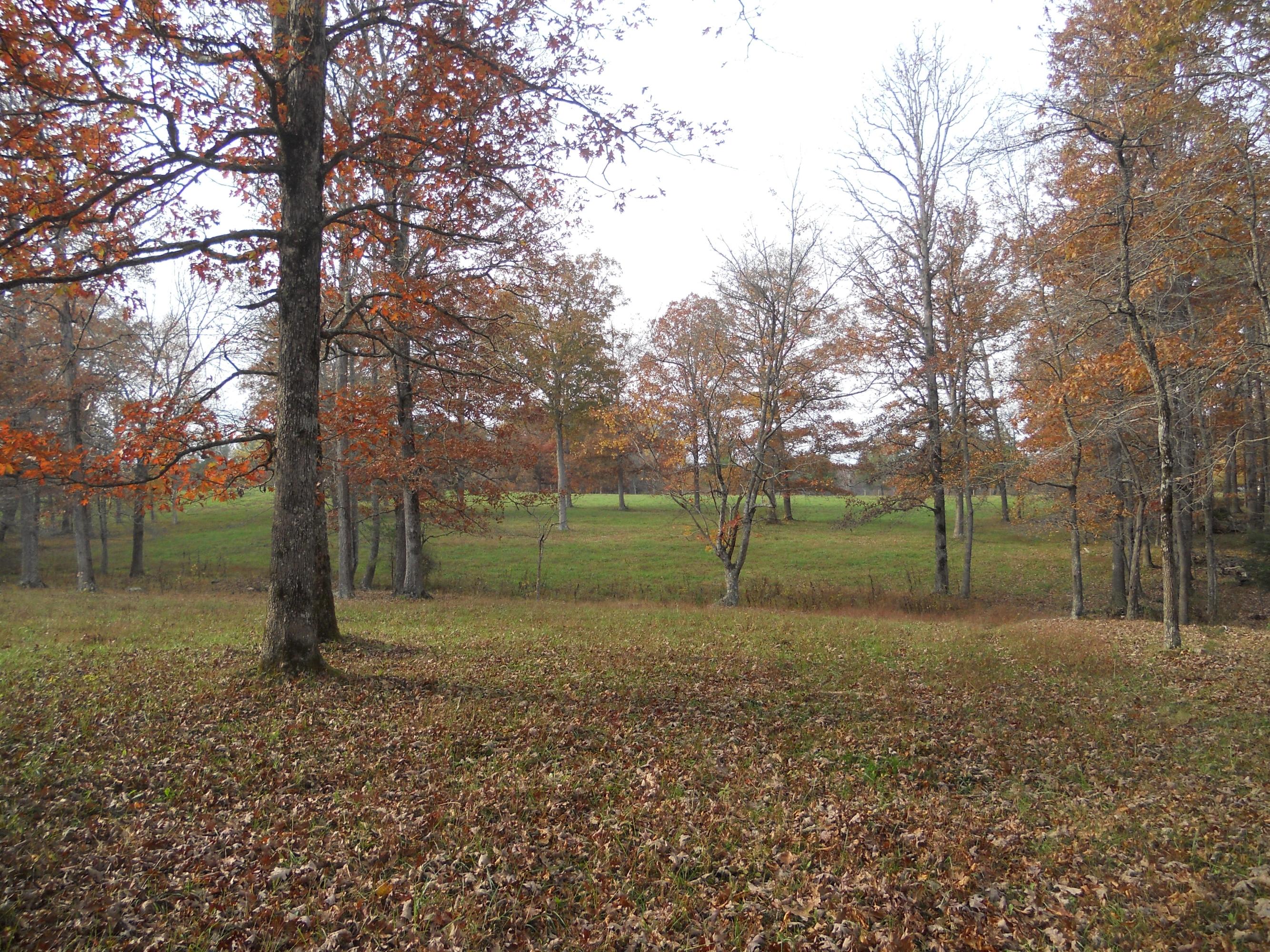 700 East Rock Quarry Road Clarkrange, TN 38553 - Photo 10 of 16 010