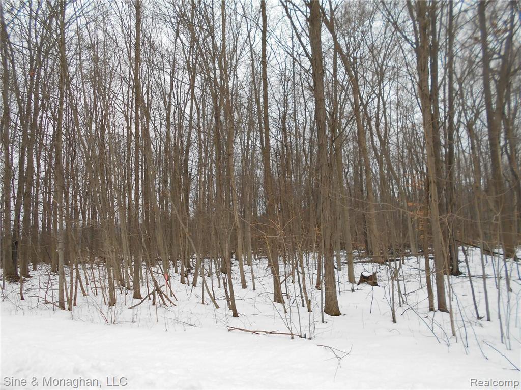 V/l V/l Springborn Parcel D Road Casco, MI 48064 - Photo 1 of 2