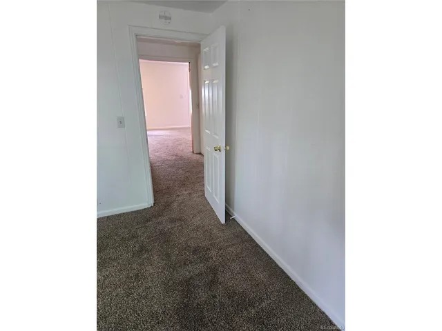 a view of a backyard with plants and a small yard