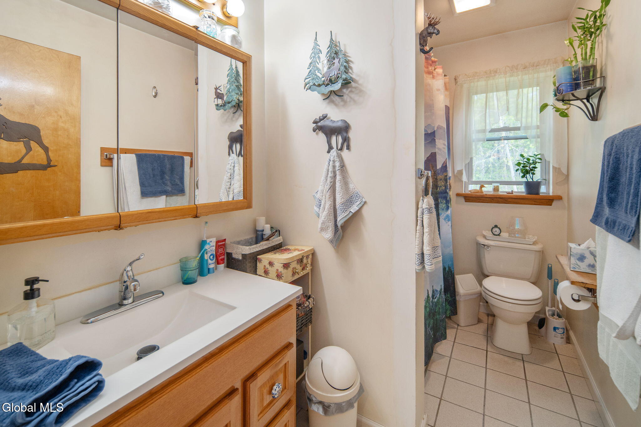 229 Middleline Road Ballston Spa, NY 12020 - Photo 25 of 38 43-229MiddlelineRd_43