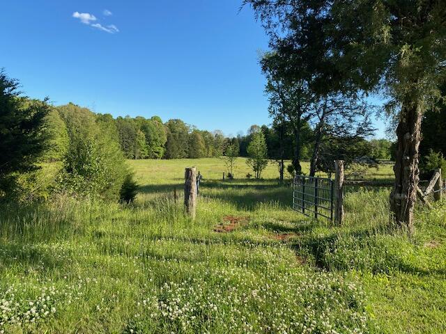 511 Cedar Valley Lane Decatur, TN 37322 - Photo 1 of 8 IMG_4201