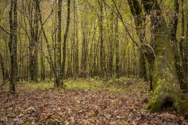 $650,000 | Chisolm Cemetary Road, Collinsville, MS 39325