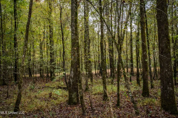 $650,000 | Chisolm Cemetary Road, Collinsville, MS 39325