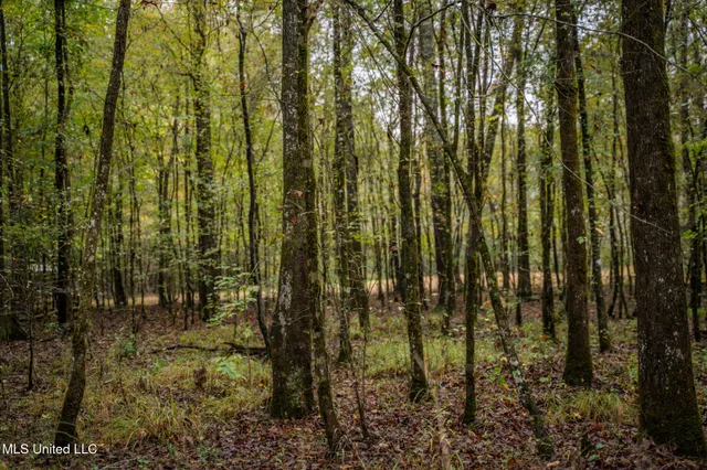 $650,000 | Chisolm Cemetary Road, Collinsville, MS 39325