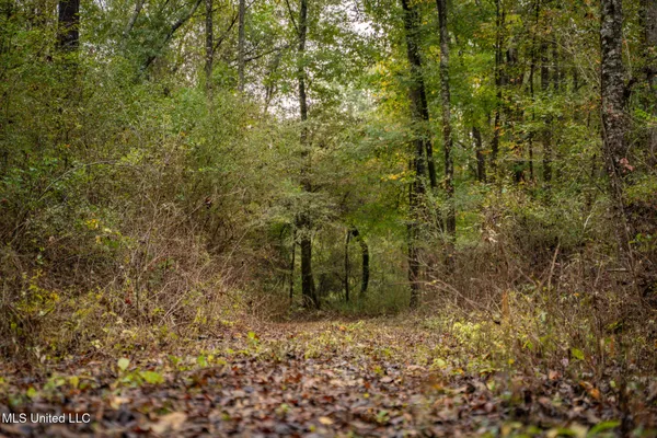 $650,000 | Chisolm Cemetary Road, Collinsville, MS 39325
