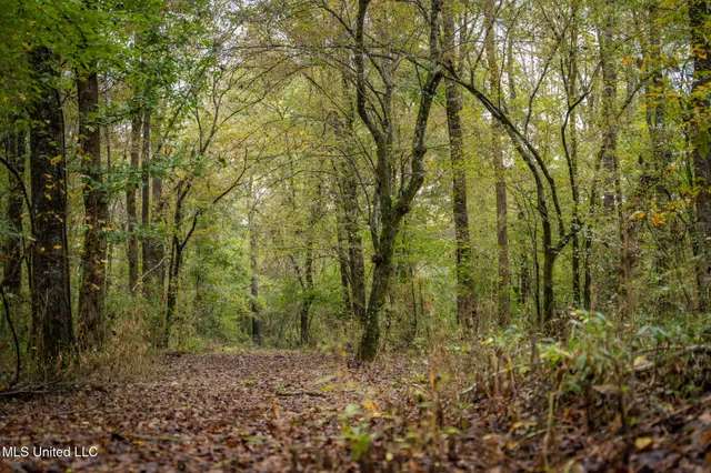 $650,000 | Chisolm Cemetary Road, Collinsville, MS 39325