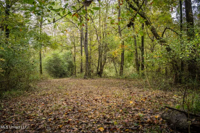 $650,000 | Chisolm Cemetary Road, Collinsville, MS 39325