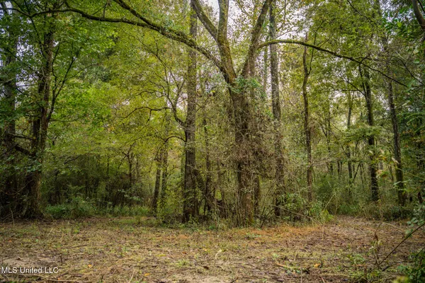 $650,000 | Chisolm Cemetary Road, Collinsville, MS 39325