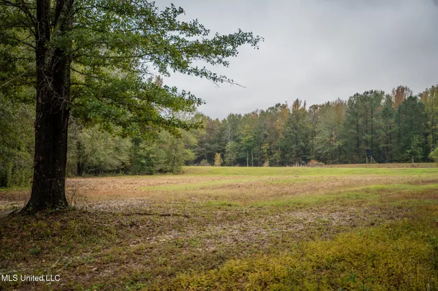 $650,000 | Chisolm Cemetary Road, Collinsville, MS 39325