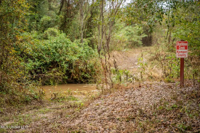 $650,000 | Chisolm Cemetary Road, Collinsville, MS 39325