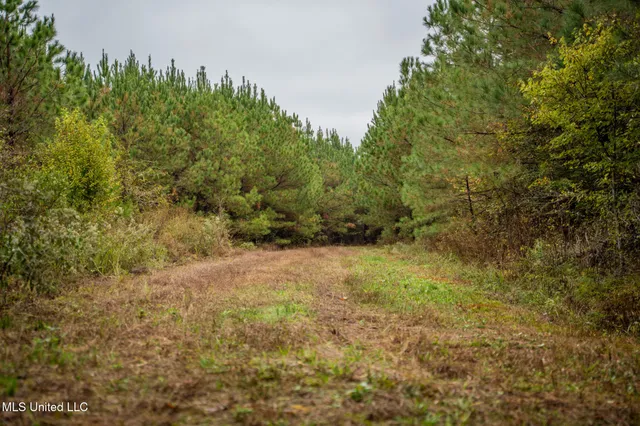 $650,000 | Chisolm Cemetary Road, Collinsville, MS 39325