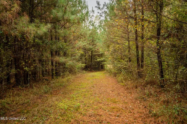 $650,000 | Chisolm Cemetary Road, Collinsville, MS 39325