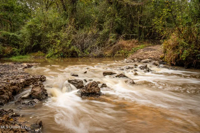 $650,000 | Chisolm Cemetary Road, Collinsville, MS 39325