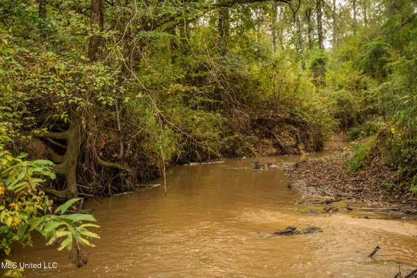 $650,000 | Chisolm Cemetary Road, Collinsville, MS 39325
