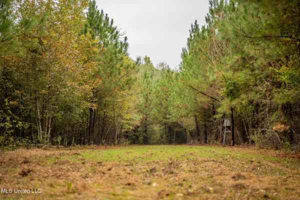 $650,000 | Chisolm Cemetary Road, Collinsville, MS 39325