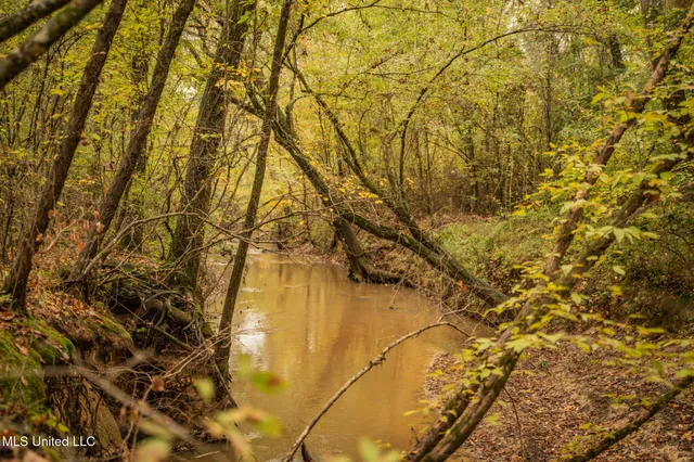 $650,000 | Chisolm Cemetary Road, Collinsville, MS 39325