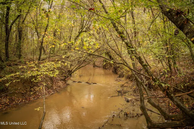 $650,000 | Chisolm Cemetary Road, Collinsville, MS 39325