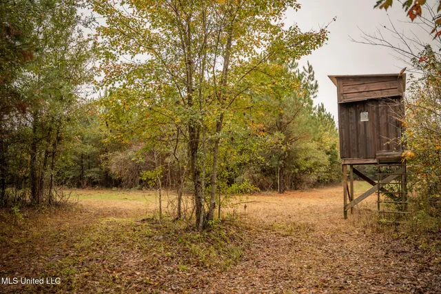 $650,000 | Chisolm Cemetary Road, Collinsville, MS 39325