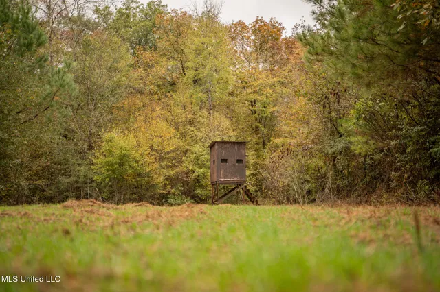 $650,000 | Chisolm Cemetary Road, Collinsville, MS 39325