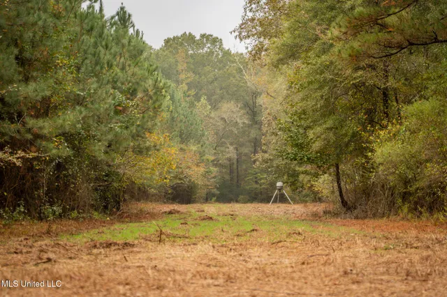 $650,000 | Chisolm Cemetary Road, Collinsville, MS 39325