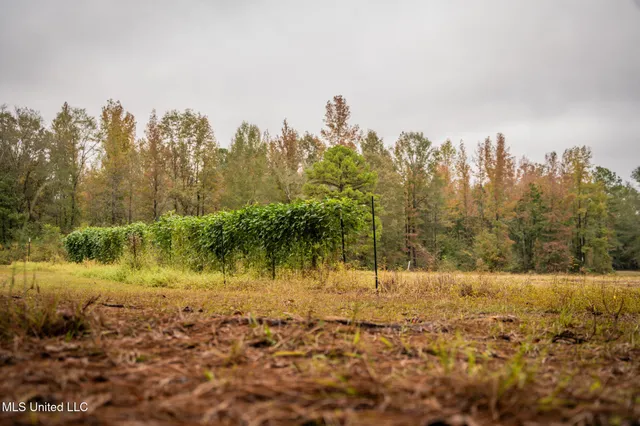 $650,000 | Chisolm Cemetary Road, Collinsville, MS 39325