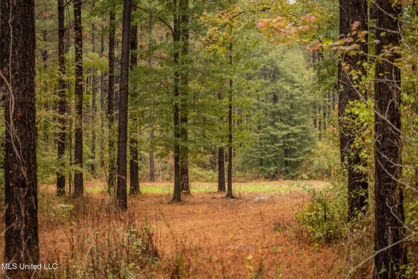 $650,000 | Chisolm Cemetary Road, Collinsville, MS 39325