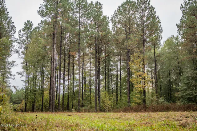 $650,000 | Chisolm Cemetary Road, Collinsville, MS 39325
